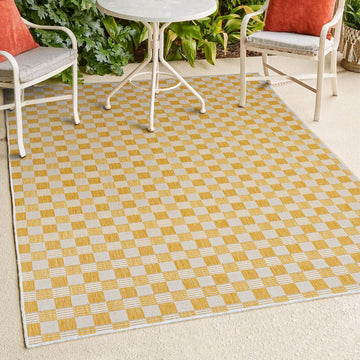 Aimee Traditional Cottage Checkerboard Indoor/Outdoor Area Rug